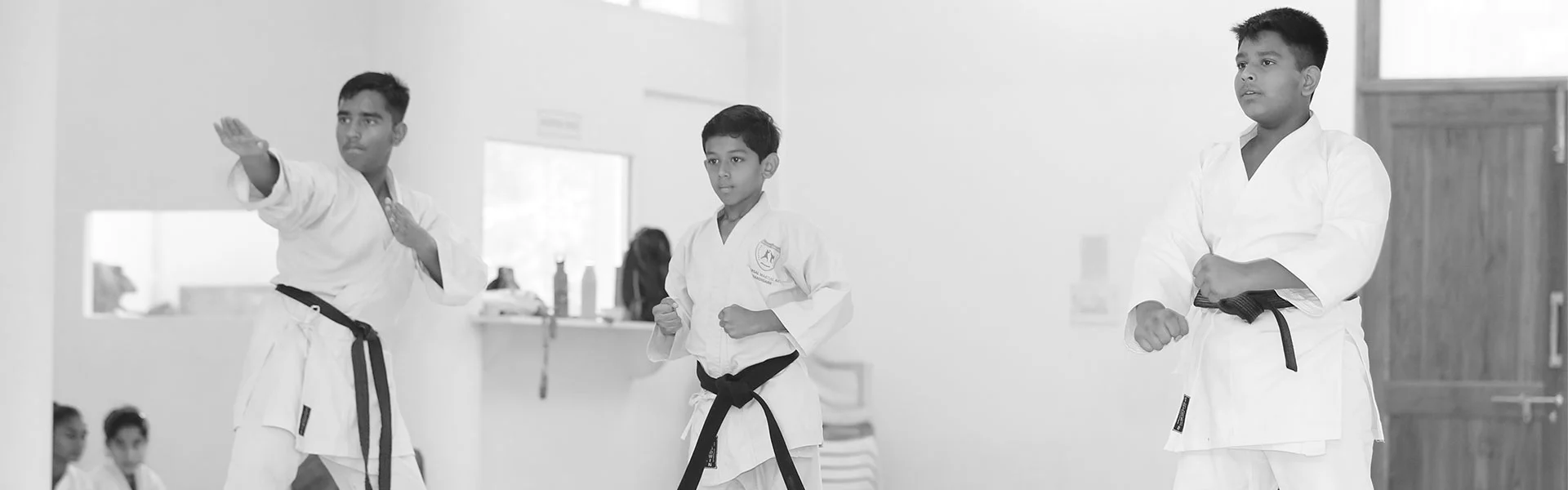 Martial Arts For Adults